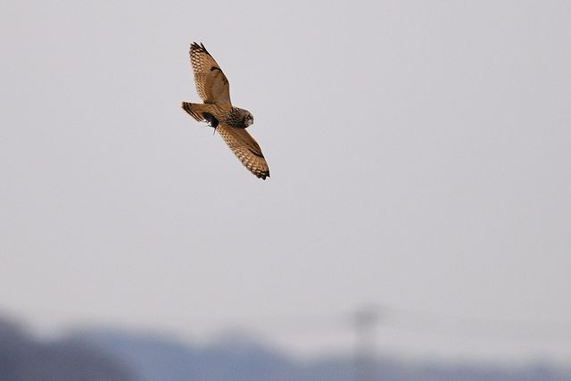 �R�~�~�Y�N