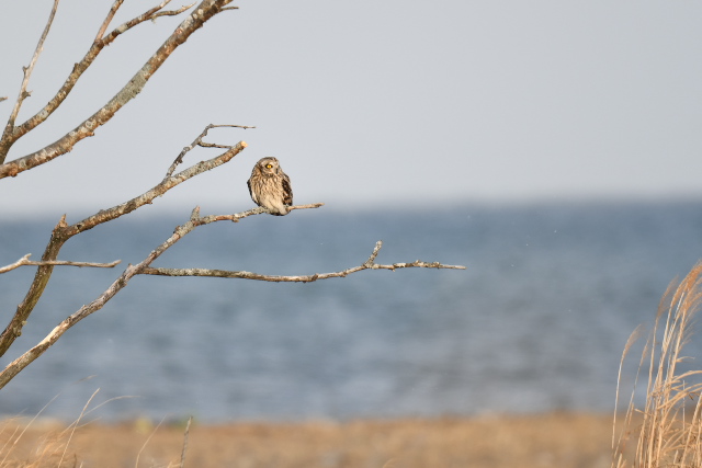 �R�~�~�Y�N