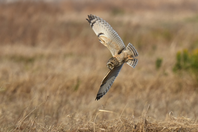 �R�~�~�Y�N