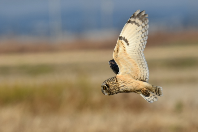 �R�~�~�Y�N