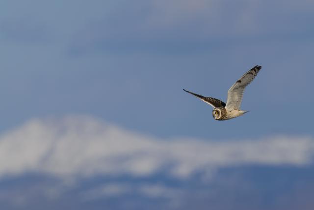 �R�~�~�Y�N