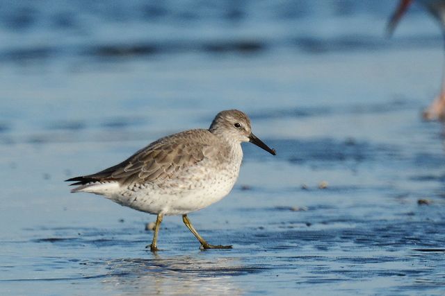 �R�I�o�V�M