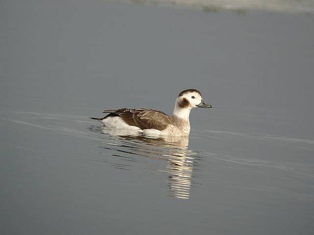 �R�I���K��