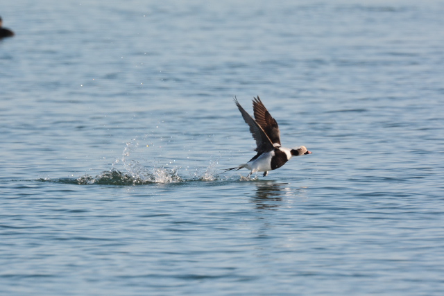 �R�I���K��