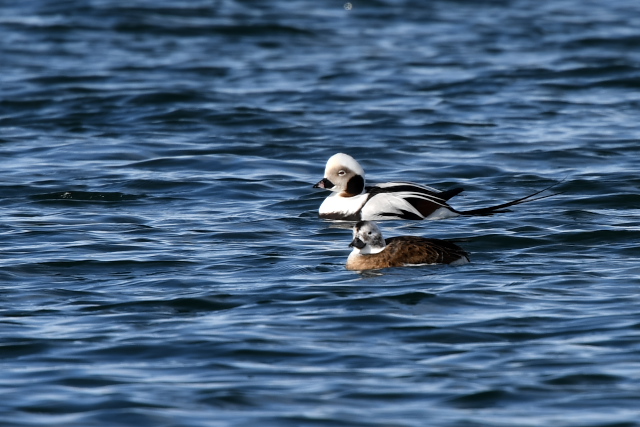 �R�I���K��