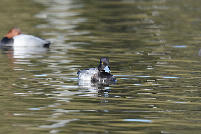 �R�X�Y�K��