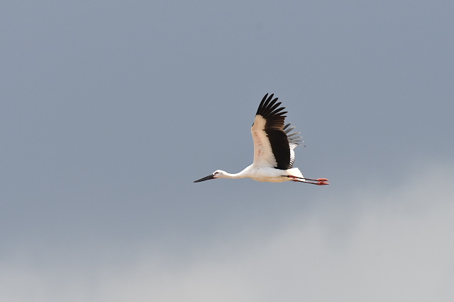 �R�E�m�g��