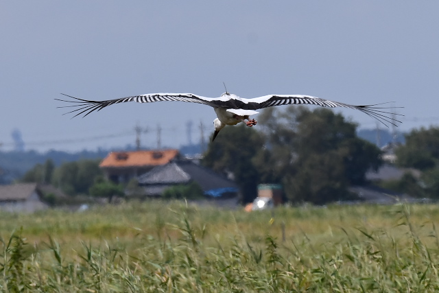 �R�E�m�g��