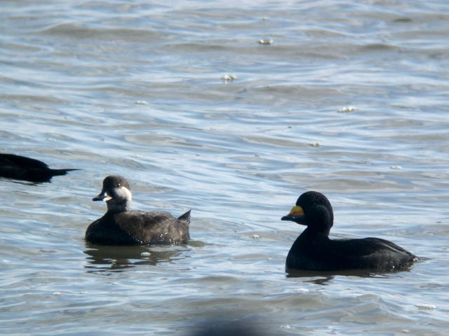 �N���K��