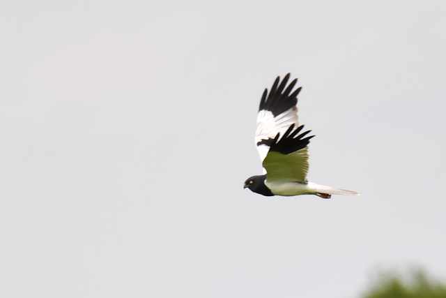 �}�_���`���E�q