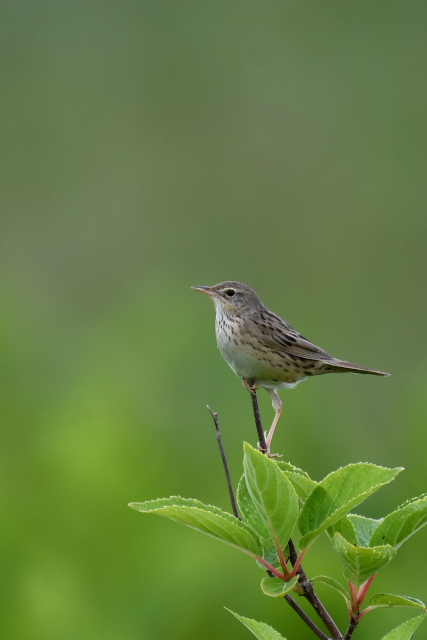 �}�L�m�Z���j���E