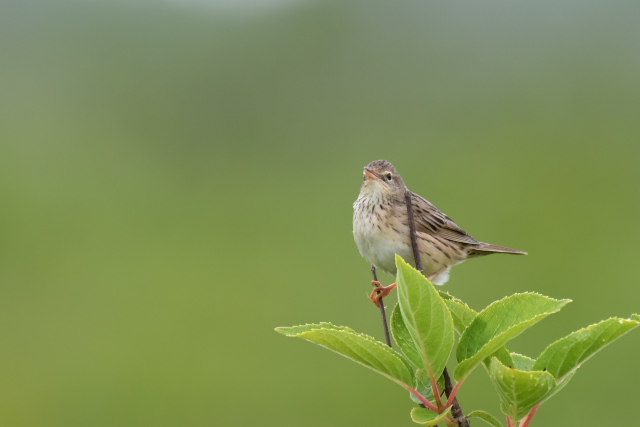 �}�L�m�Z���j���E