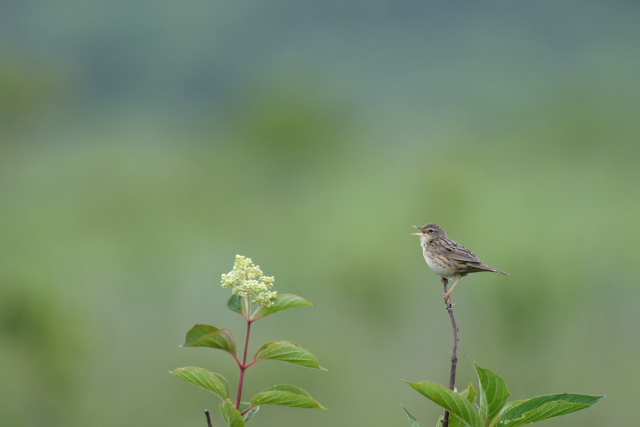 �}�L�m�Z���j���E