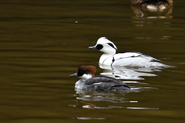 �~�R�A�C�T