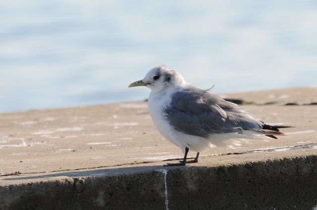 �~�c���r�J����