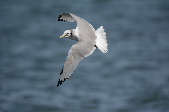 �~�c���r�J����