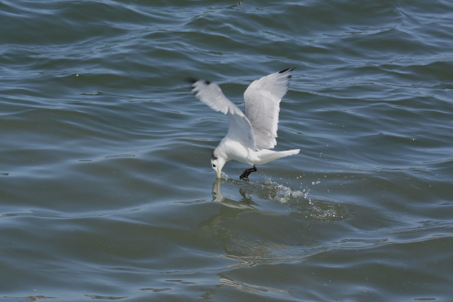 �~�c���r�J����