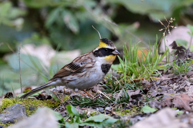 �~���}�z�I�W��