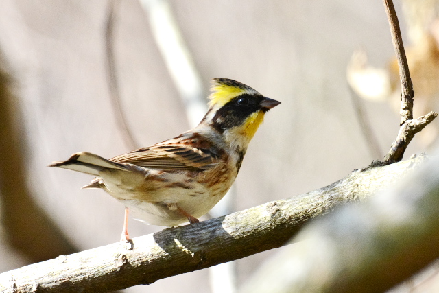 �~���}�z�I�W��