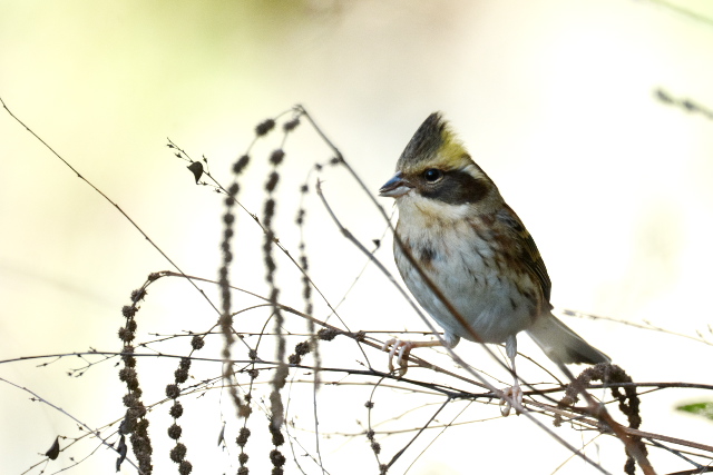 �~���}�z�I�W��