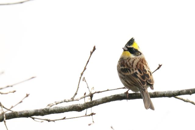 �~���}�z�I�W��