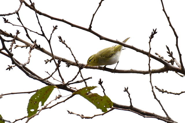 �������V�N�C