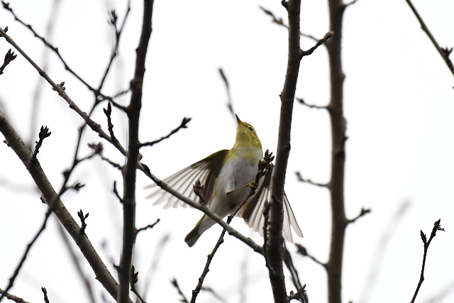 �������V�N�C