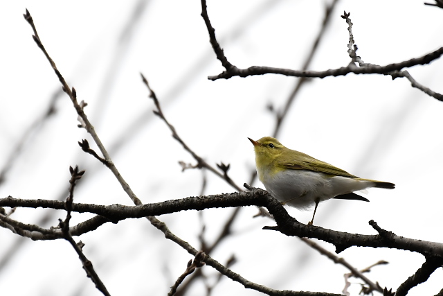 �������V�N�C