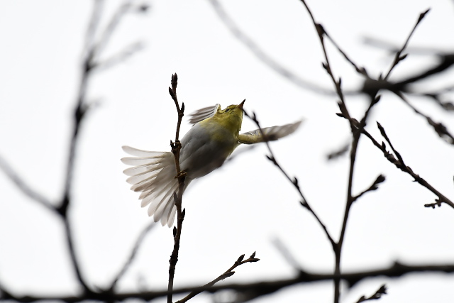 �������V�N�C