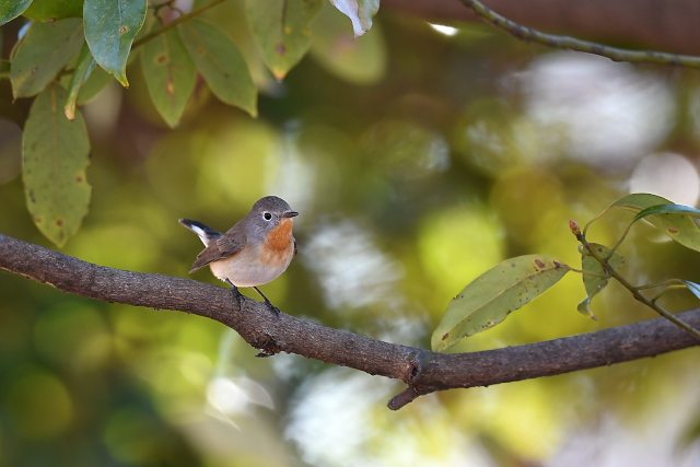 �j�V�I�W���r�^�L