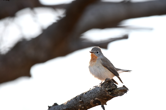 �j�V�I�W���r�^�L