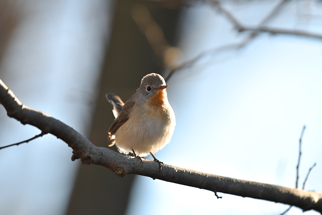 �j�V�I�W���r�^�L