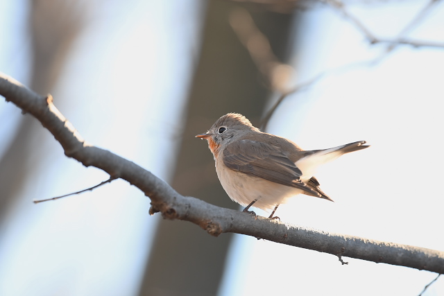 �j�V�I�W���r�^�L