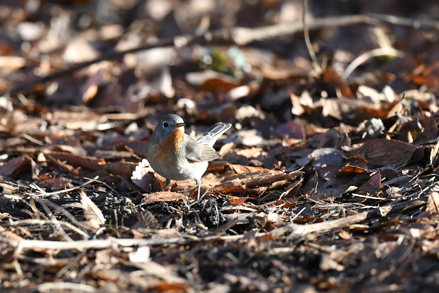 �j�V�I�W���r�^�L