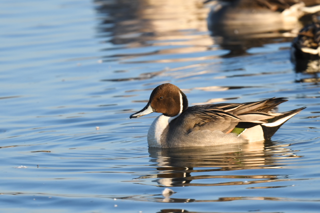 �I�i�K�K��