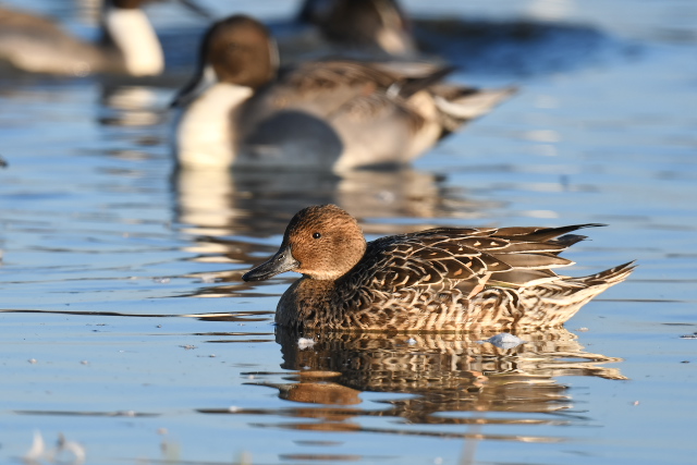 �I�i�K�K��