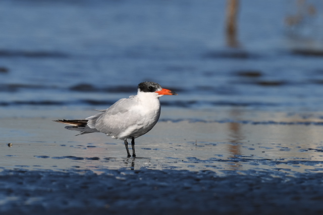 �I�j�A�W�T�V