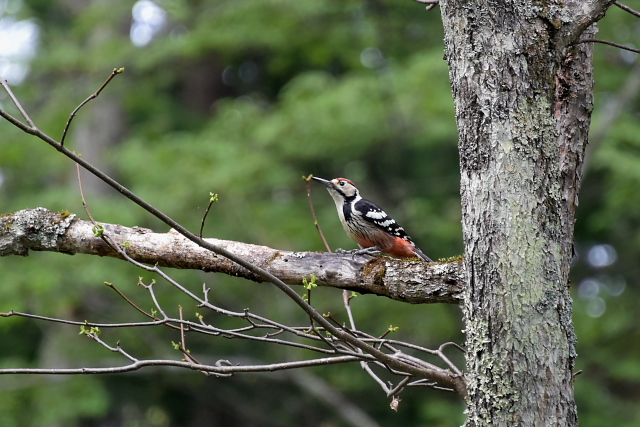 �I�I�A�J�Q��