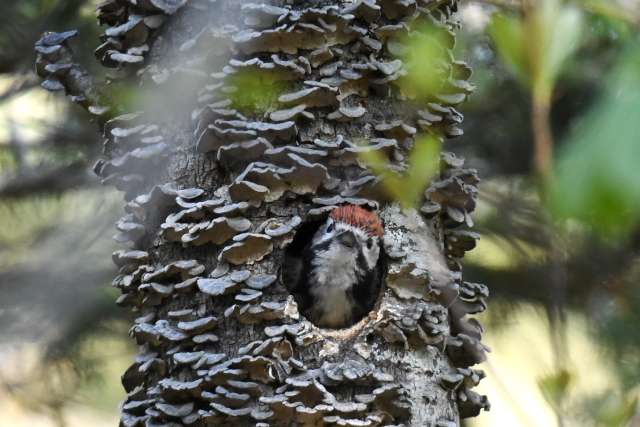 �I�I�A�J�Q��