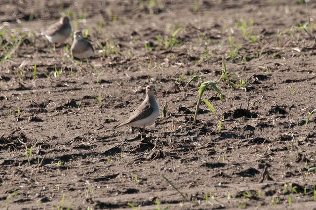 �I�I�`�h��