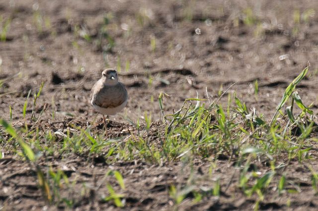 �I�I�`�h��