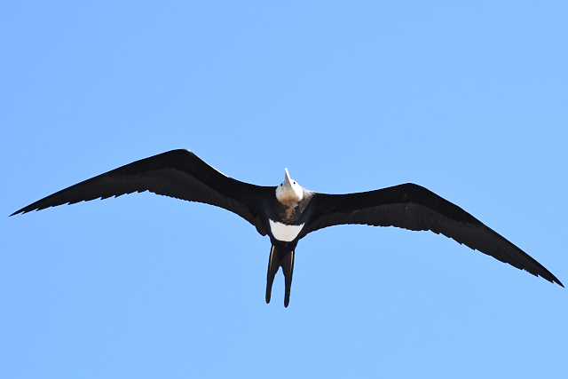 �I�I�O���J���h��