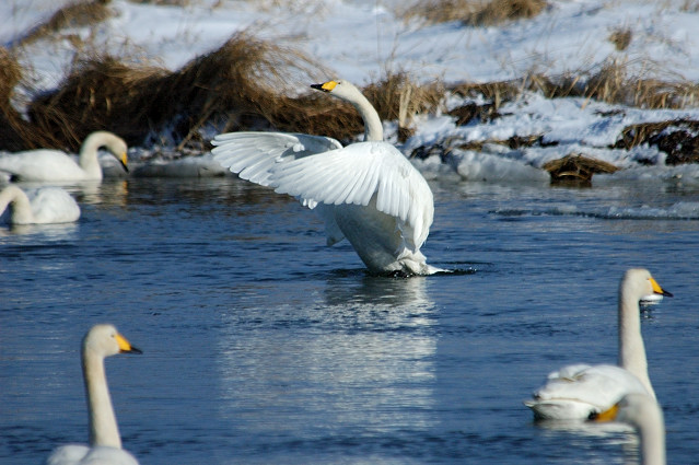 �I�I�n�N�`���E