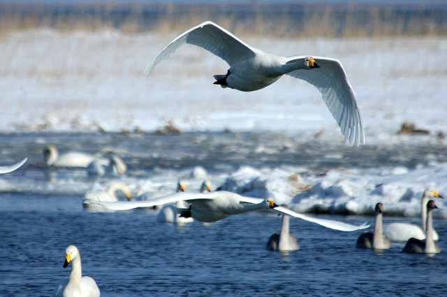 �I�I�n�N�`���E