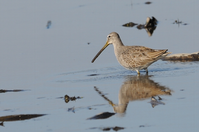 �I�I�n�V�V�M�@�~�H