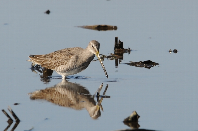 �I�I�n�V�V�M�@�~�H