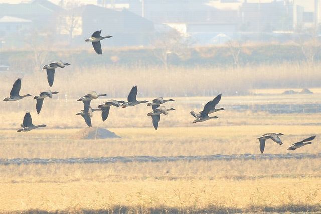 �I�I�q�V�N�C