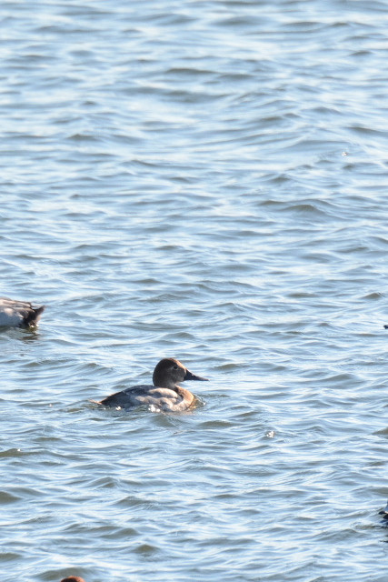 �I�I�z�V�n�W��