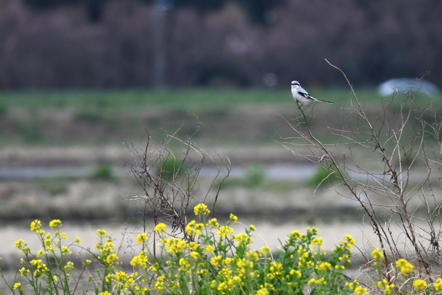 �I�I�J�����Y