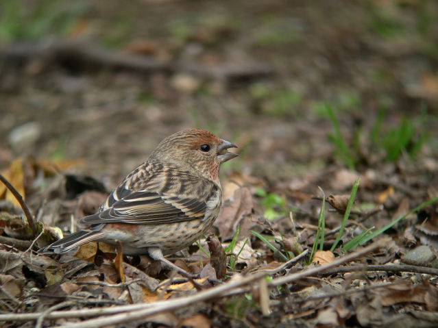 �I�I�}�V�R